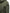 Women's knee length anorak with four front pockets and adjustable cord waist in Fatigue